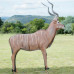 Wildcrete Kudu